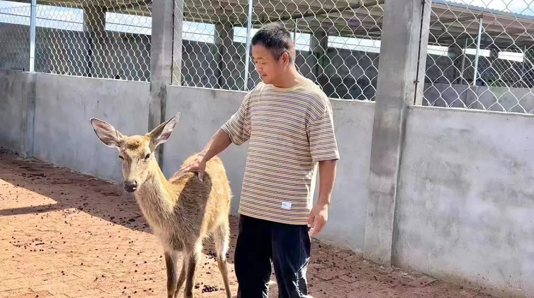 九五自尊欢迎光临